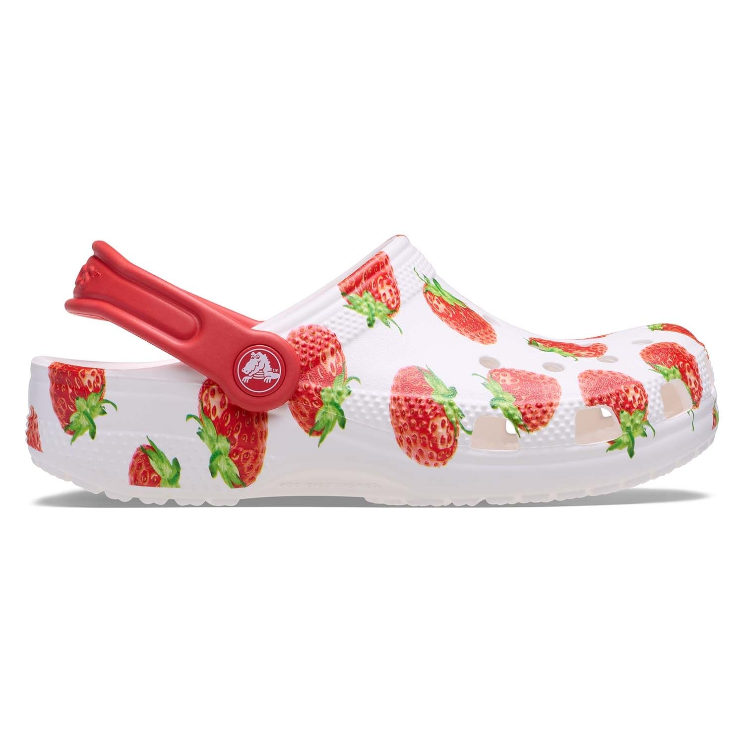 Classic Fresh Fruits Collection